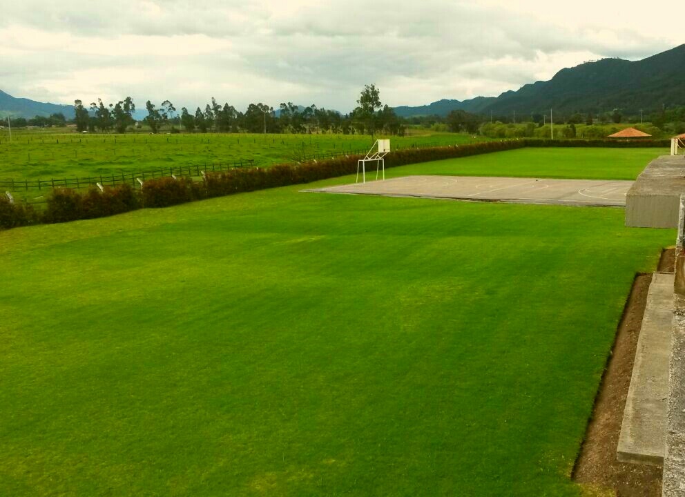  COLEGIO BILINGÜE PIO XII CAMPESTRE COTA|Costos y Fotos de COLEGIO BILINGÜE PIO XII CAMPESTRE COTA |Colegios en |Los mejores Colegios de |Colegios Calendario A|Colegios  Calendario A en |Colegio ACADEMICO